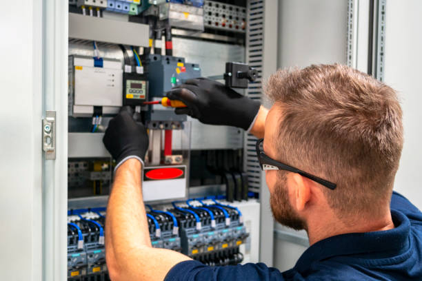 Best Electrical System Inspection  in Coldwater, MI