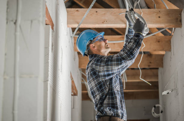 Best 24-Hour Electrician  in Coldwater, MI
